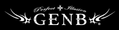 VIP GENB �Хʡ���(234��60)